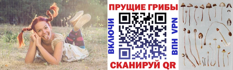 Псилоцибиновые грибы MAGIC MUSHROOMS Сегежа